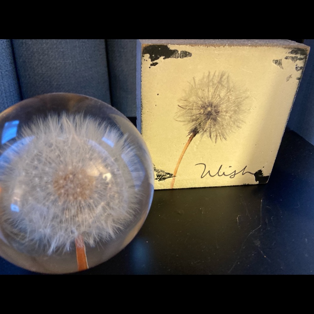 Dandelions! Make a Wish! (2 Pieces)